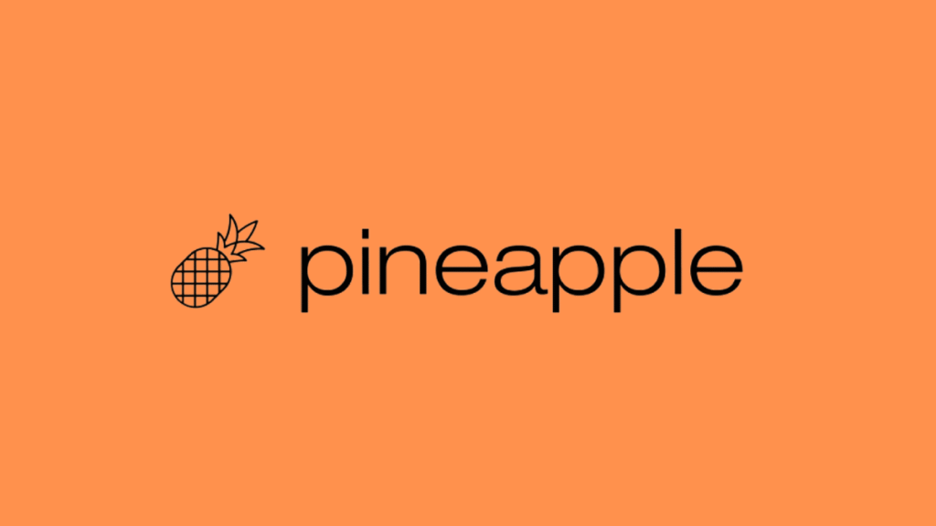 Build Websites & Apps Fast with Pineapple Builder